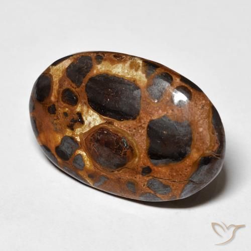 Diaspro Multicolore naturale da 19.43 ct, Ovale, Opaco