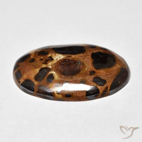 Diaspro Multicolore naturale da 19.43 ct, Ovale, Opaco