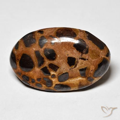 20.50ct Naturale Multicolore Diaspro, Ovale, Opaco