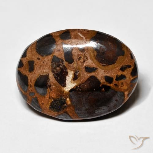 19.16ct Naturale Multicolore Diaspro, Ovale, Opaco