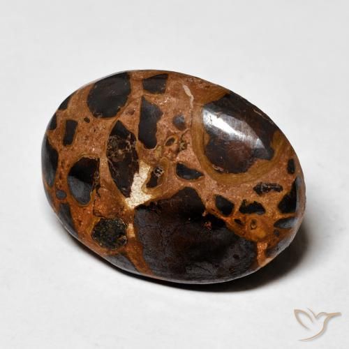 Diaspro Multicolore naturale da 19.16 ct, Ovale, Opaco