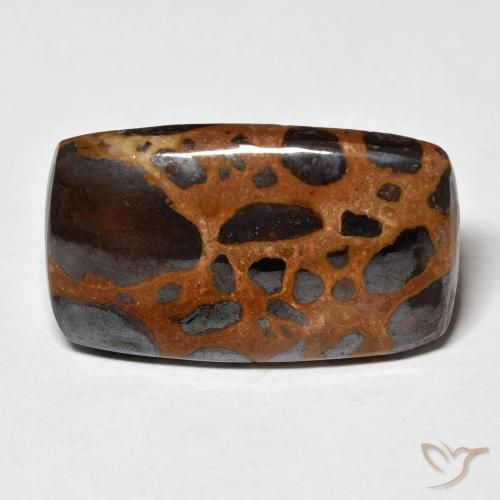 20.26ct Naturale Multicolore Diaspro, Cuscino, Opaco