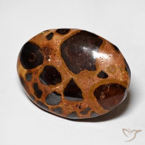 Diaspro Multicolore naturale da 17.45 ct, Ovale, Opaco