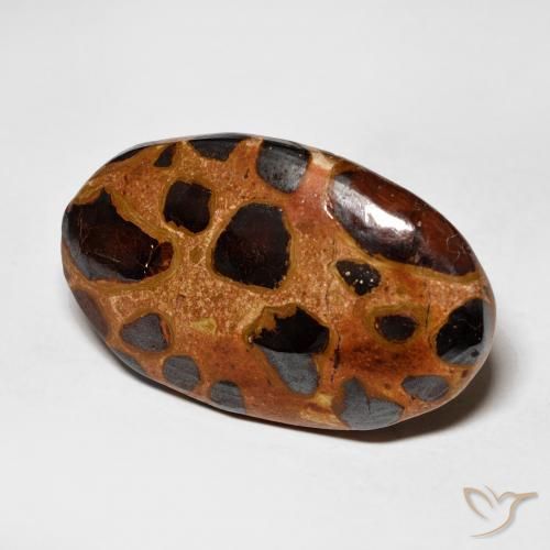 Diaspro Multicolore naturale da 15.06 ct, Ovale, Opaco