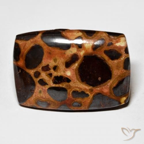 20.65ct Naturale Multicolore Diaspro, Cuscino, Opaco