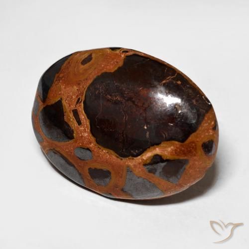 Diaspro Multicolore naturale da 13.64 ct, Ovale, Opaco