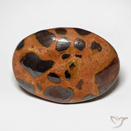 17.08ct Naturale Multicolore Diaspro, Ovale, Opaco