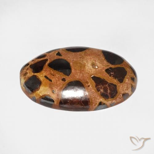Diaspro Multicolore naturale da 17.65 ct, Ovale, Opaco