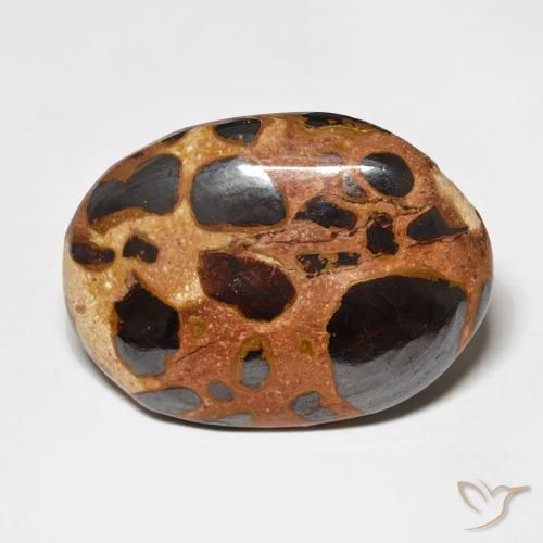 15.22ct Naturale Multicolore Diaspro, Ovale, Opaco