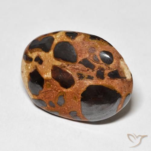Diaspro Multicolore naturale da 15.22 ct, Ovale, Opaco