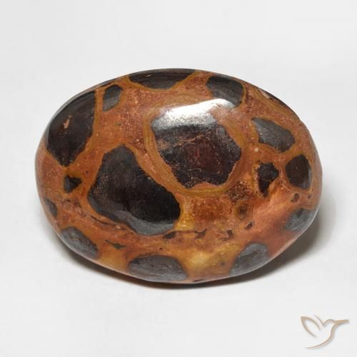 17.65ct Naturale Multicolore Diaspro, Ovale, Opaco