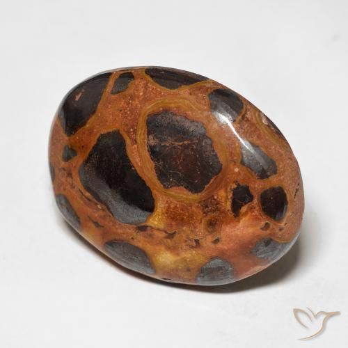 Diaspro Multicolore naturale da 17.65 ct, Ovale, Opaco