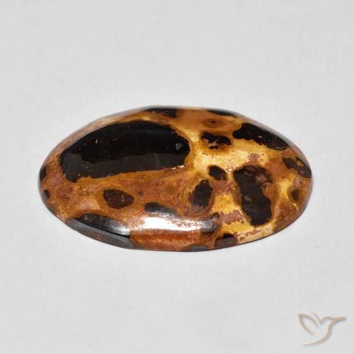 Diaspro Multicolore naturale da 12.26 ct, Ovale, Opaco