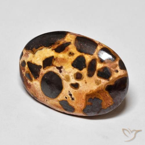Diaspro Multicolore naturale da 16.03 ct, Ovale, Opaco