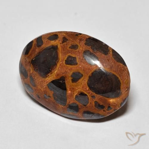 Diaspro Multicolore naturale da 13.01 ct, Ovale, Opaco