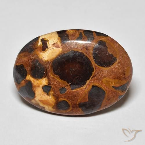 14.20ct Naturale Multicolore Diaspro, Ovale, Opaco