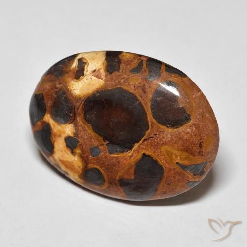 Diaspro Multicolore naturale da 14.20 ct, Ovale, Opaco