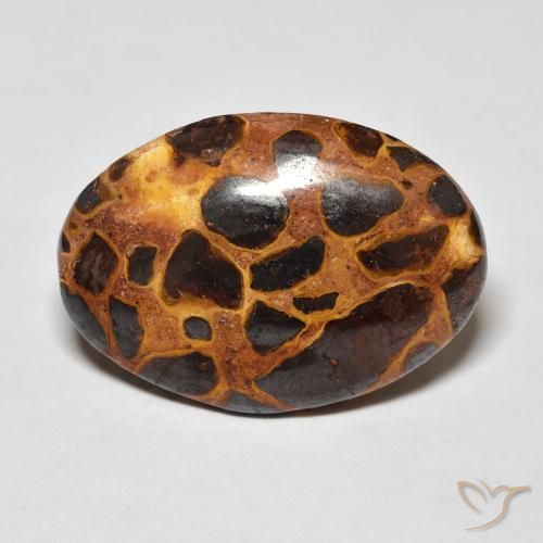 13.57ct Naturale Multicolore Diaspro, Ovale, Opaco