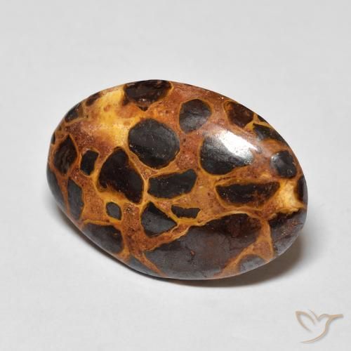 Diaspro Multicolore naturale da 13.57 ct, Ovale, Opaco