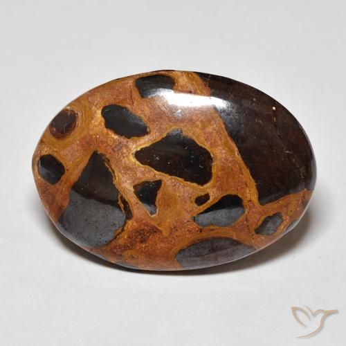 18.67ct Naturale Multicolore Diaspro, Ovale, Opaco