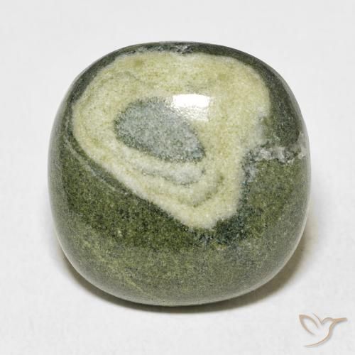 25.13ct Naturale Multicolore Diaspro, Cuscino, Opaco