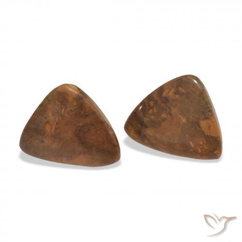Gemme di Diaspro Multicolore naturale da 11.39 ct, Taglio trillion, Opaco