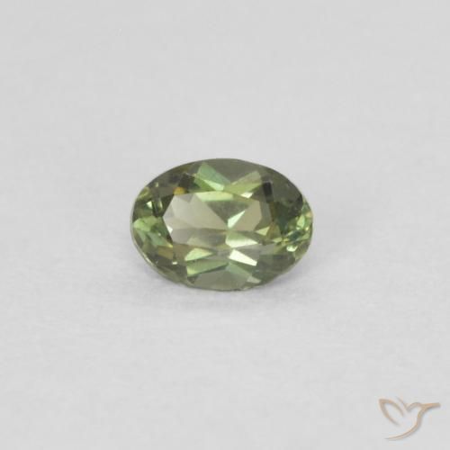Rupin del grano Caldo bosco verde naturale da 0.13 ct, Ovale, VVS-VS