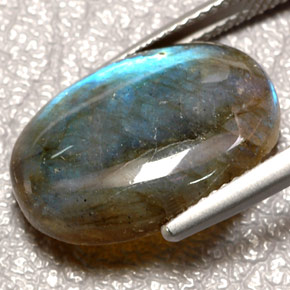 Labradorite Multicolore naturale da 10.19 ct, Trasparente, Trasparente/Traslucido
