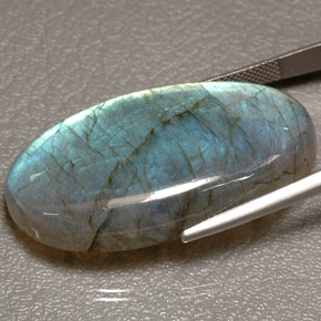 Labradorite Multicolore naturale da 61.83 ct, Trasparente, Trasparente/Traslucido