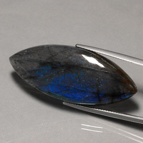Labradorite Multicolore naturale da 43.96 ct, Trasparente, Trasparente/Traslucido