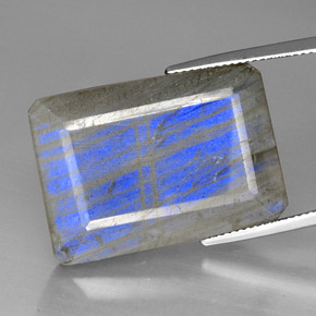 Labradorite Multicolore naturale da 35.01 ct, Trasparente, Trasparente/Traslucido