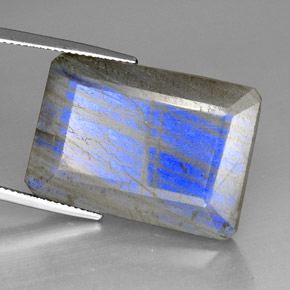 Labradorite Multicolore naturale da 35.01 ct, Trasparente, Trasparente/Traslucido