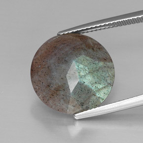 Labradorite Multicolore naturale da 10.20 ct, Taglio rotondo, Opaco