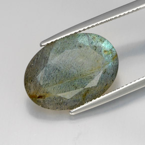 Labradorite Multicolore naturale da 10.26 ct, Taglio ovale, Opaco