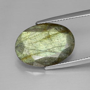 Labradorite Multicolore naturale da 9.85 ct, Taglio ovale, Opaco