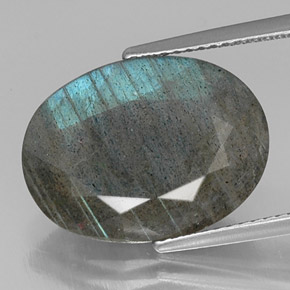 Labradorite Multicolore naturale da 8.85 ct, Taglio ovale, Opaco