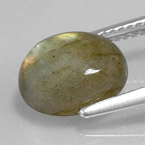 Labradorite naturale multicolore da 3,59 ct, taglio ovale, opaco