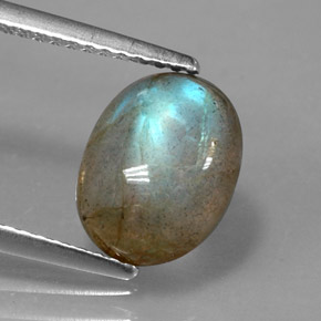 Labradorite Multicolore naturale da 2.76 ct, Trasparente, Trasparente/Traslucido