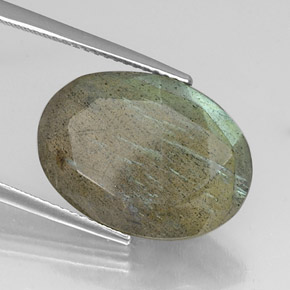 Labradorite Multicolore naturale da 10.56 ct, Taglio ovale, Traslucido