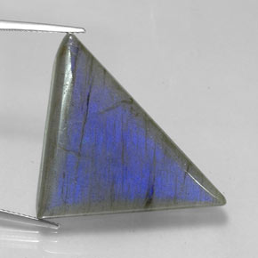 Labradorite Multicolore naturale da 42.05 ct, Taglio trillion, Traslucido