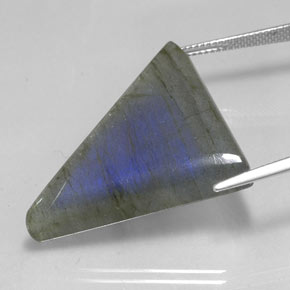 Labradorite Multicolore naturale da 42.05 ct, Taglio trillion, Traslucido