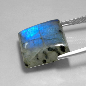 Labradorite Multicolore naturale da 36.07 ct, Quadrato, Traslucido