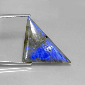 Labradorite Multicolore naturale da 16.19 ct, Taglio trillion, Traslucido