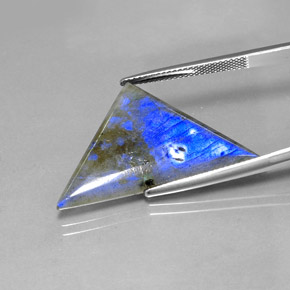 Labradorite Multicolore naturale da 16.19 ct, Taglio trillion, Traslucido