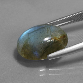 Labradorite Multicolore naturale da 6.39 ct, Taglio ovale, Traslucido