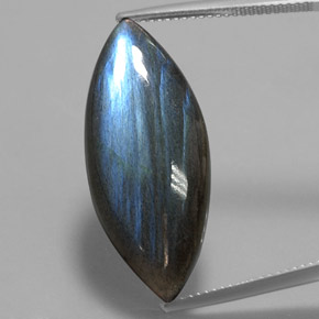Labradorite naturale multicolore da 19,29 ct, marchesa, traslucido