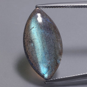 Labradorite naturale multicolore da 12,31 ct, marchesa, traslucido
