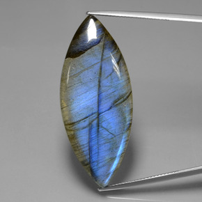 Labradorite naturale blu da 36,89 ct, marchesa, trasparente
