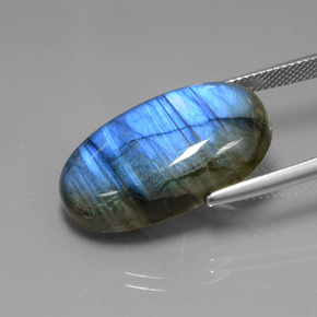 Labradorite Grigio blu scuro naturale da 23.23 ct, Taglio ovale, Trasparente