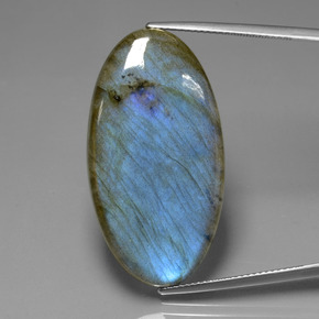 Labradorite naturale blu da 33,63 ct, taglio ovale, trasparente